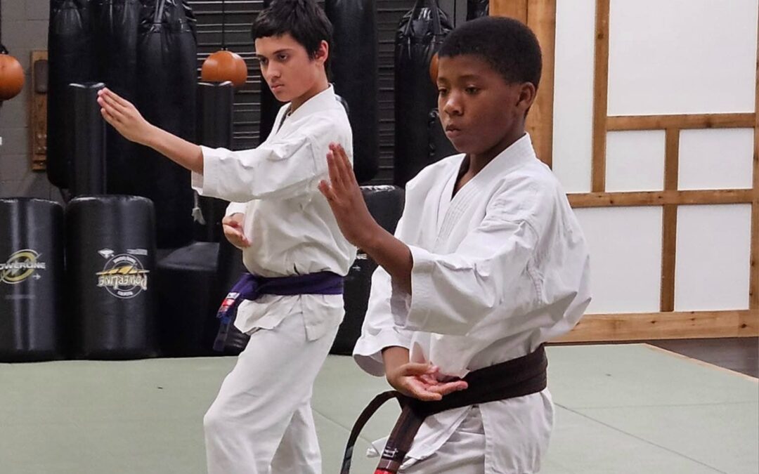 Can Kids’ Self-Defense Classes Build Awareness and Control?