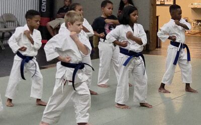What Happens When Kids Start Karate During the School Year